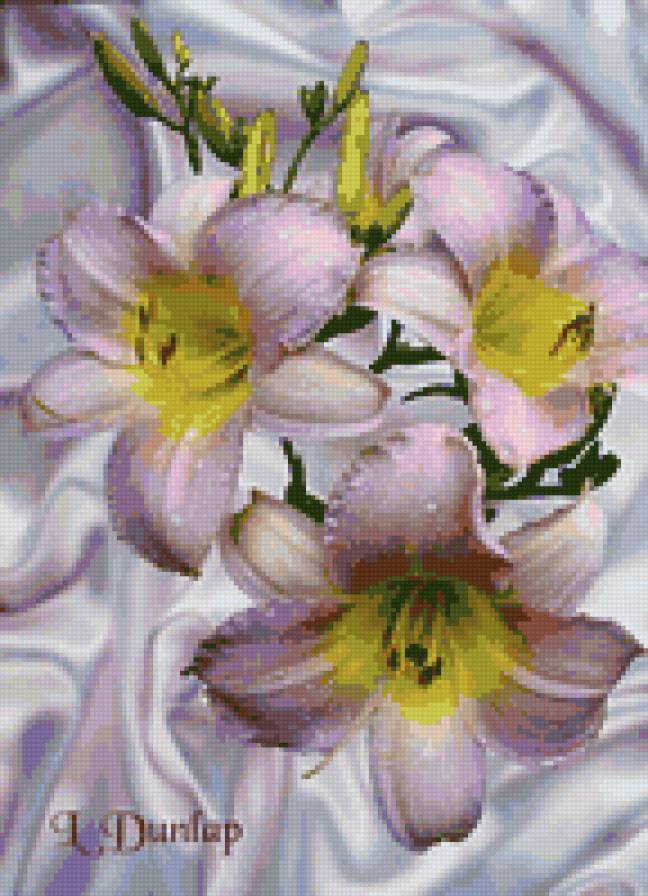 №34686 - предпросмотр