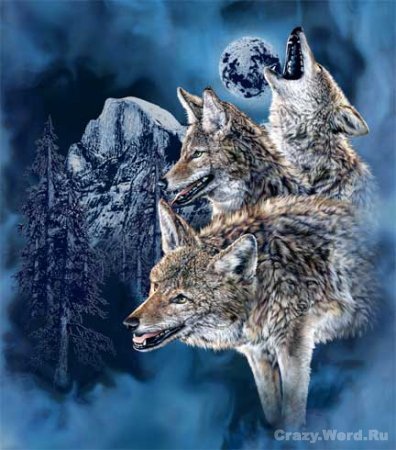 №34697 - оригинал