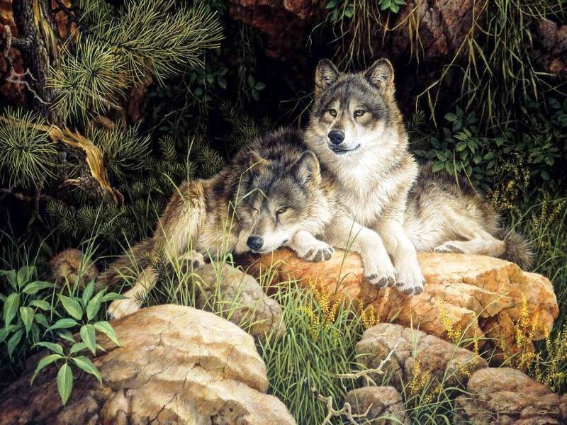 №34708 - оригинал