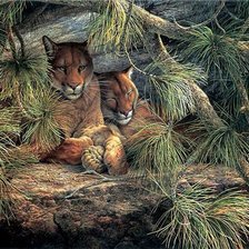 Схема вышивки «№34734»