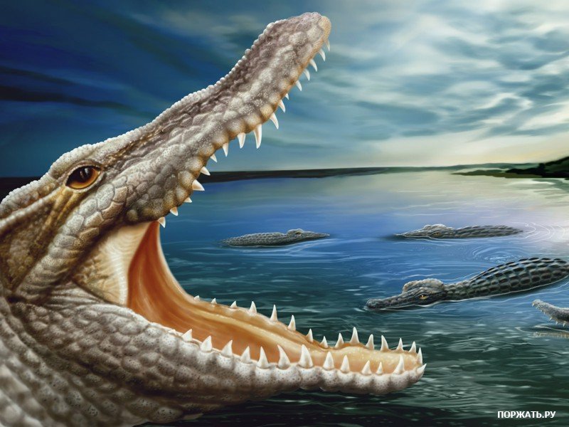 №34932 - оригинал