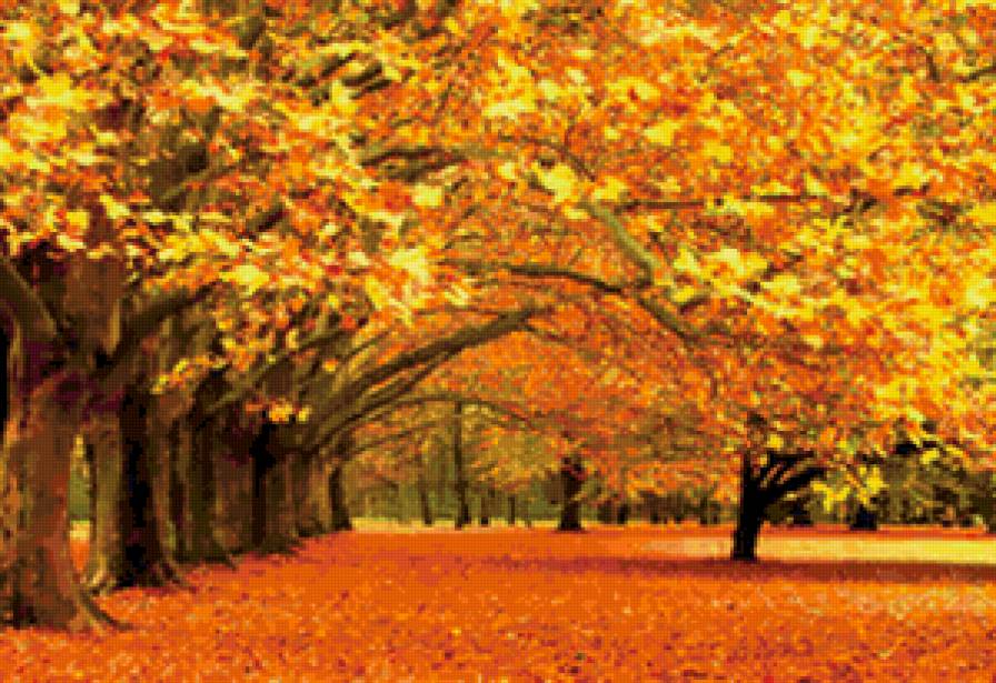 золотая осень - осень, лес, парк, деревья - предпросмотр