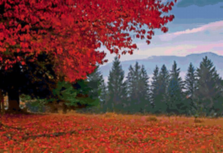 осень - деревья, лес, осень, пейзаж, сосны - предпросмотр