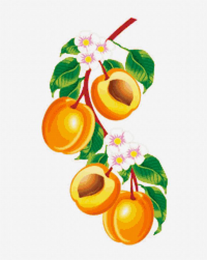 Персики - фрукты - предпросмотр