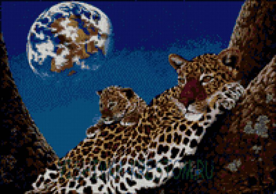 №35015 - предпросмотр