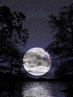 Лунная ночь - вода, отражение, ночь, луна - оригинал