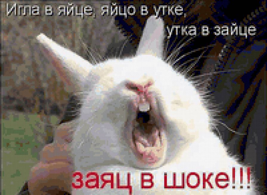 1 - природа, грызун, животные - предпросмотр