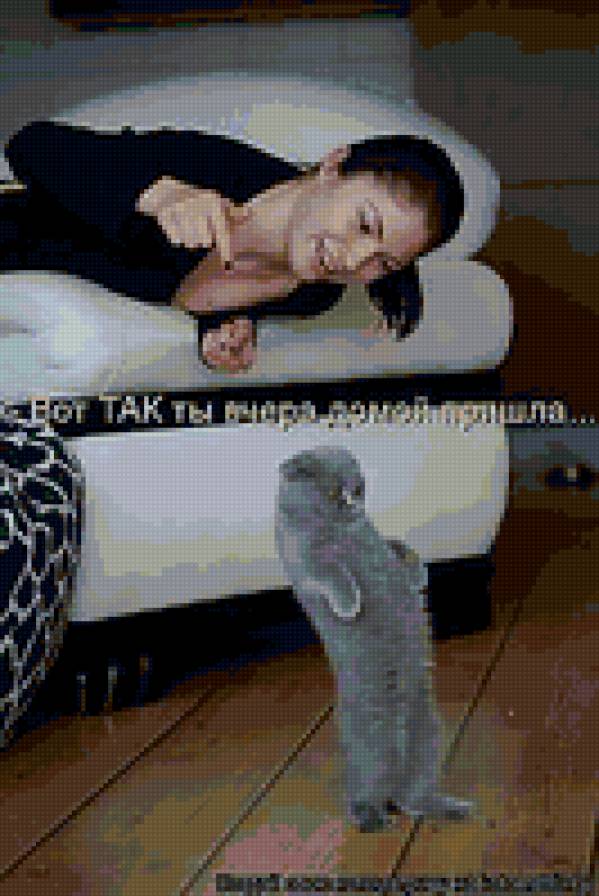 15 - котята, природа, животные, кошки - предпросмотр