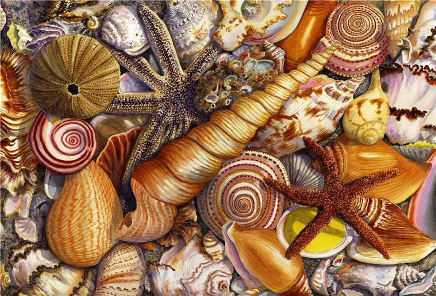 раковины - раковины, море, лето - оригинал