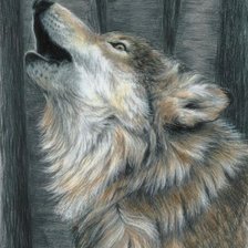Оригинал схемы вышивки «Волк» (№35458)