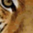 Предпросмотр схемы вышивки «тигр» (№35751)
