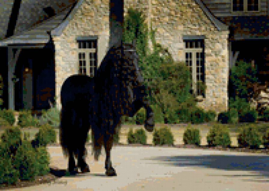 22 - лошади, природа, животные, красота - предпросмотр