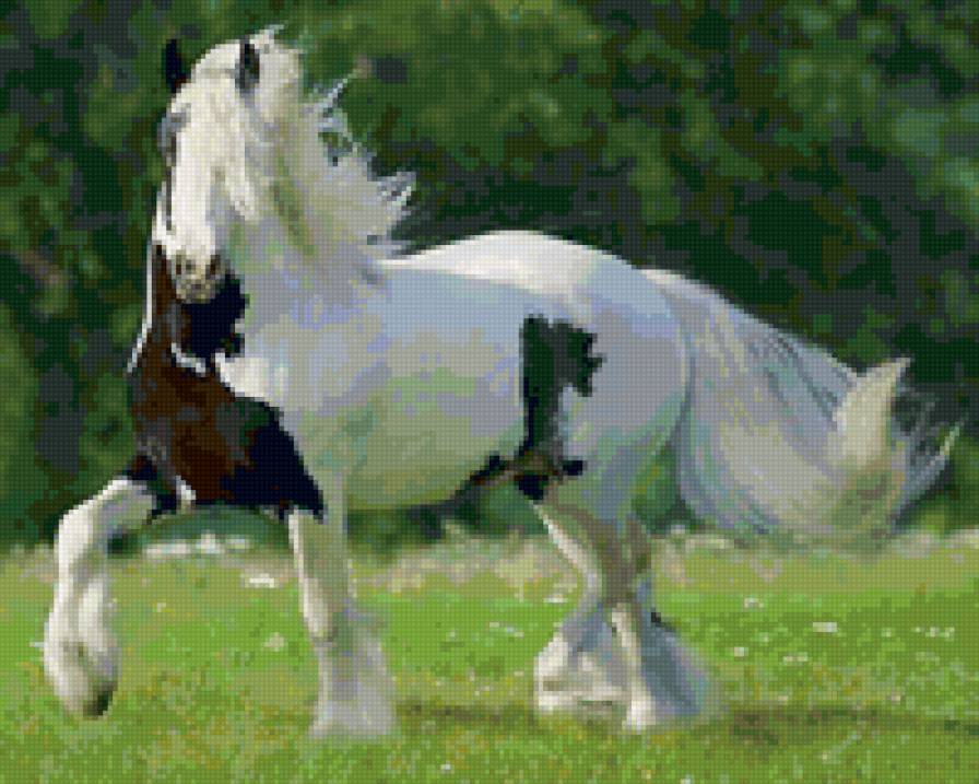 29 - лошади, красота, животные, природа - предпросмотр