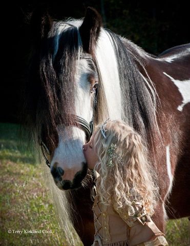 46 - лошади, животные, красота, природа - оригинал