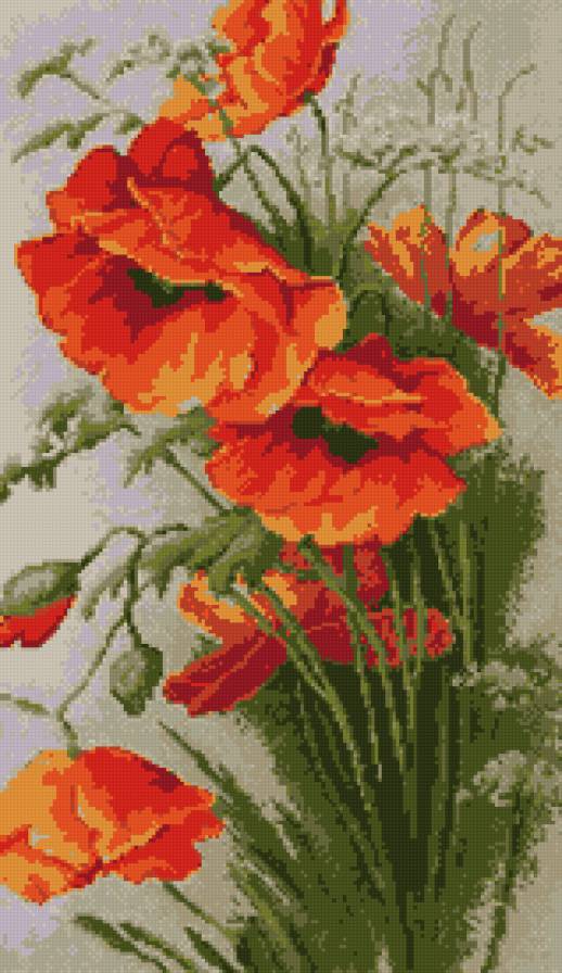 маки 2 - маки, цветы - предпросмотр