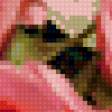 Предпросмотр схемы вышивки «№35979»