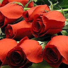 Схема вышивки «№35981»