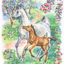 кони в яблоках