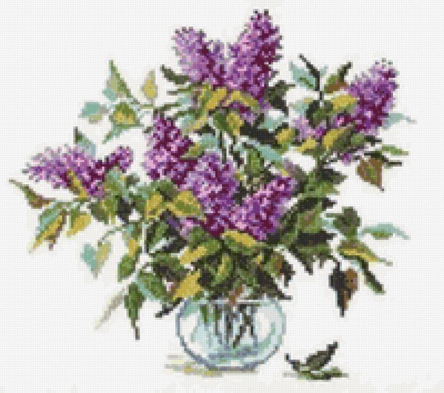 сирень - букет, сирень, цветы - предпросмотр