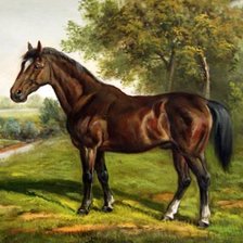 Схема вышивки «Лошадь»