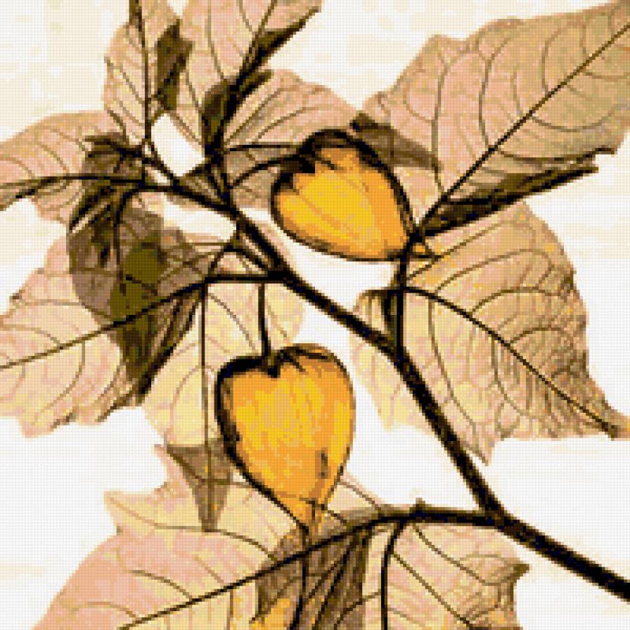 Variant 1 - rastenija - предпросмотр