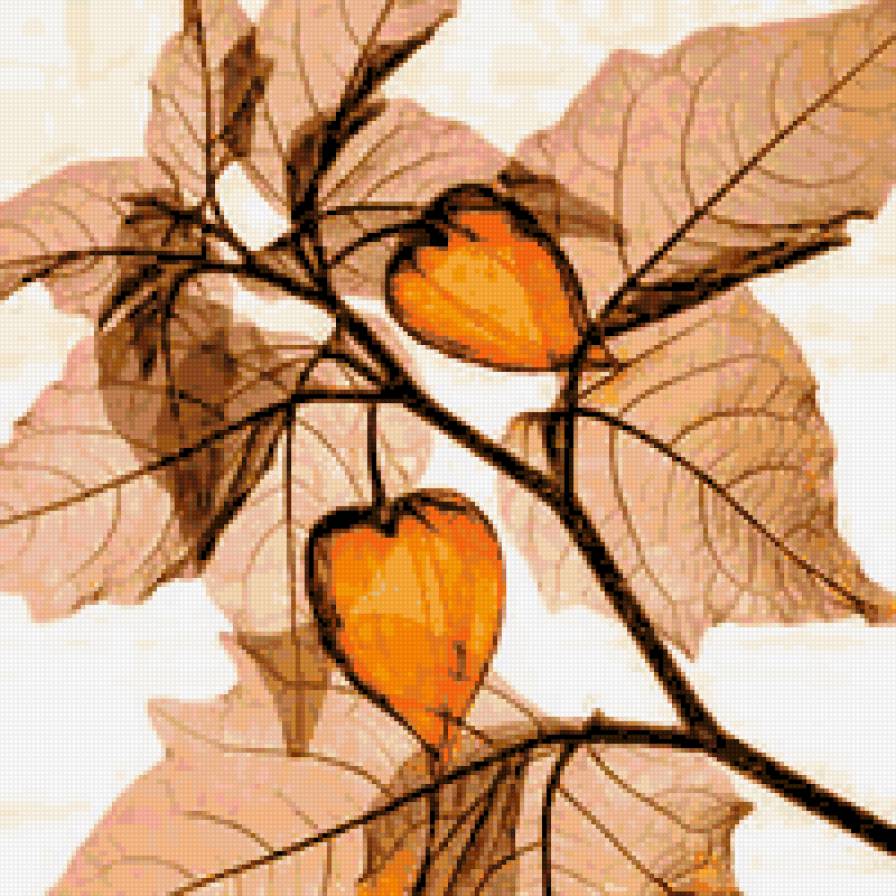 Variant 4 - rastenija - предпросмотр