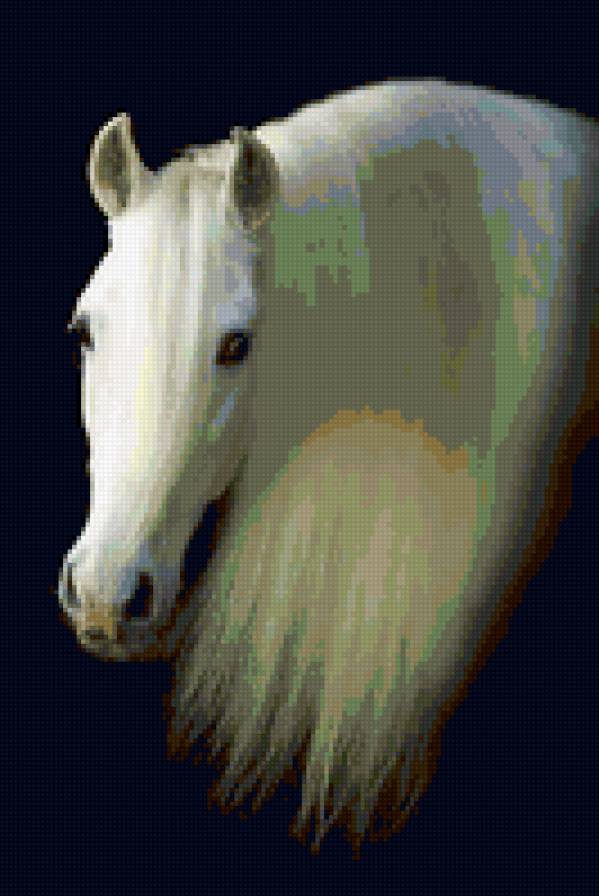 62 - красота, лошади, природа, животные - предпросмотр