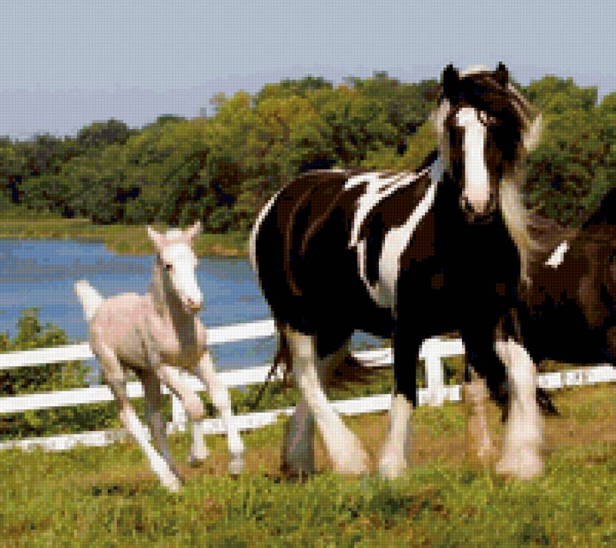 80 - природа, красота, лошади, животные - предпросмотр