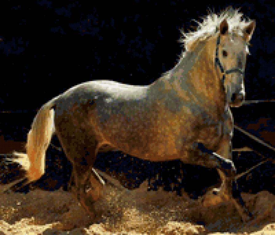 96 - природа, лошади, красота, животные - предпросмотр