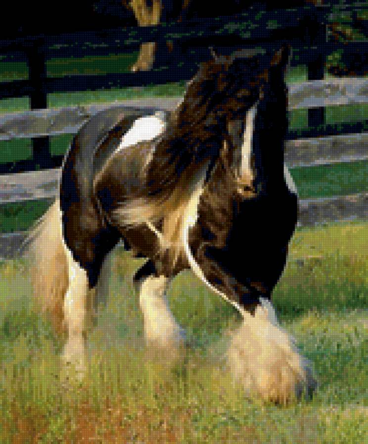 99 - животные, лошади, природа, красота - предпросмотр