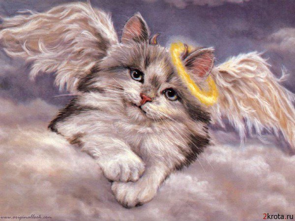 Ангел - коты, живопись, животные - оригинал