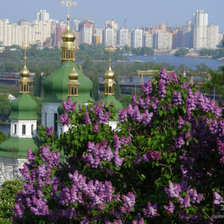 Схема вышивки «№36576»