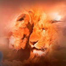 Схема вышивки «№36642»