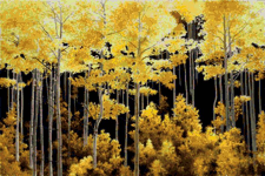 золото осени - природа, пейзаж, осень - предпросмотр