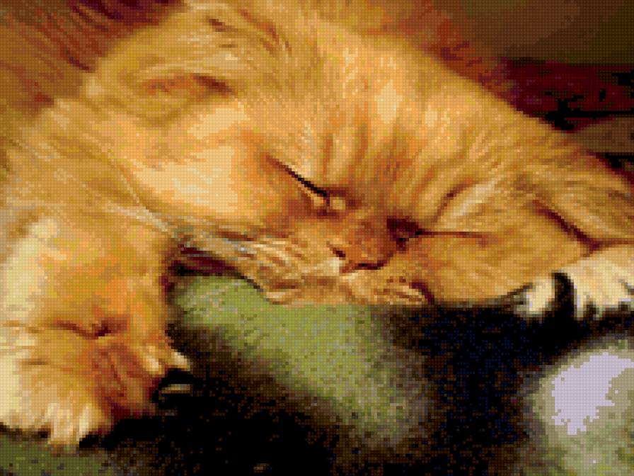 Кошак спит - кошки, сон - предпросмотр