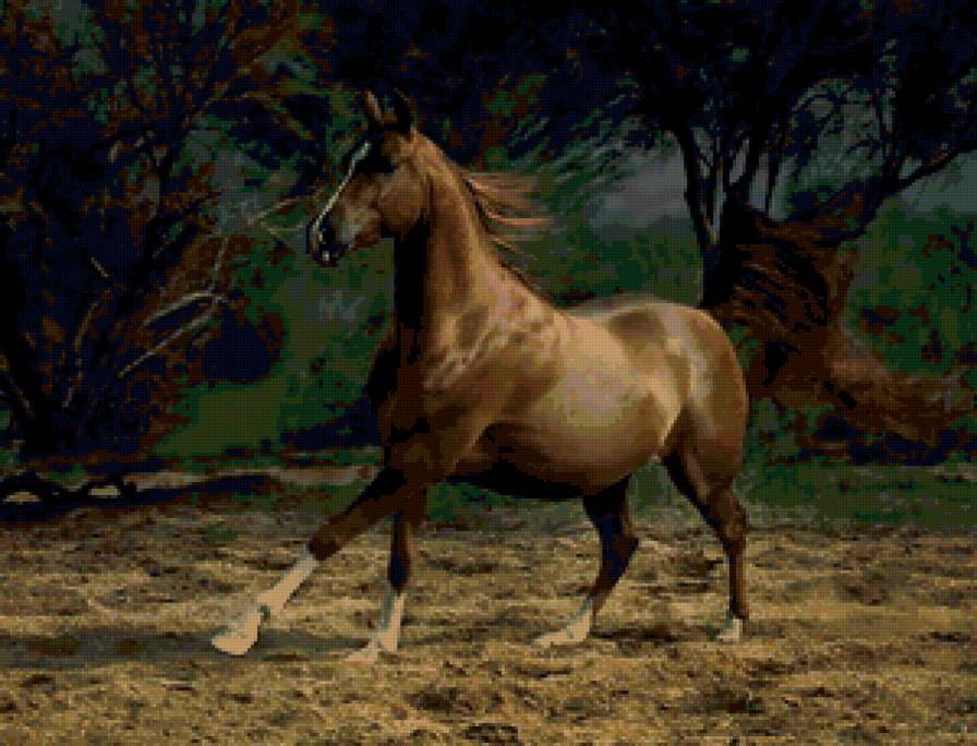 Серия "Лошади" - лошадь - предпросмотр