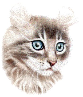 Кот - животные, живопись, коты - оригинал