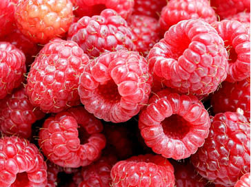 Россыпь малины - ягоды, вкусно, розовый, лето, малина, радость - оригинал