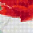 Предпросмотр схемы вышивки «Маки» (№37215)