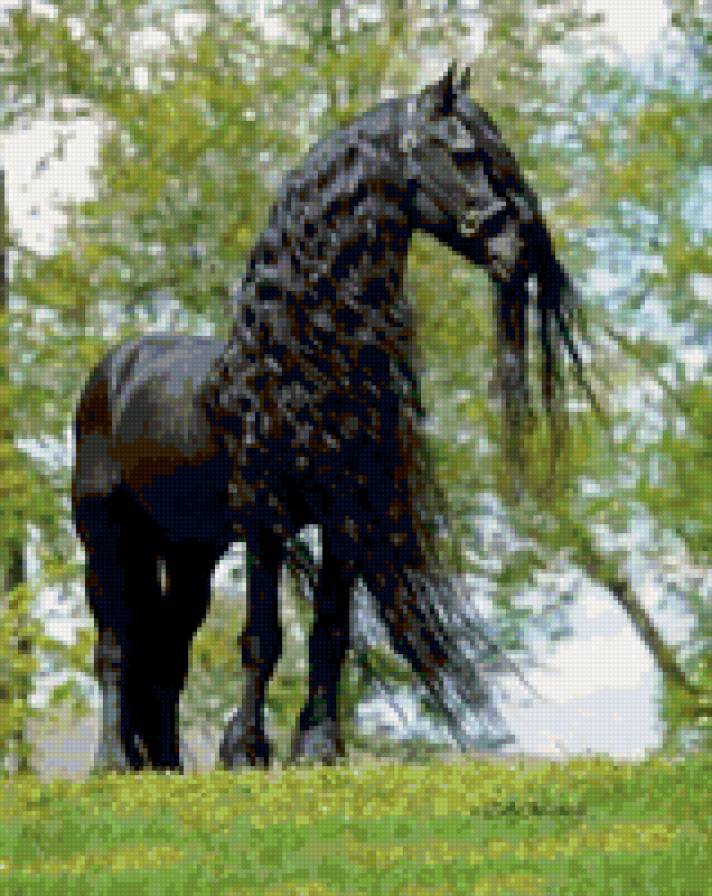 544 - природа, красота, животные, лошади - предпросмотр