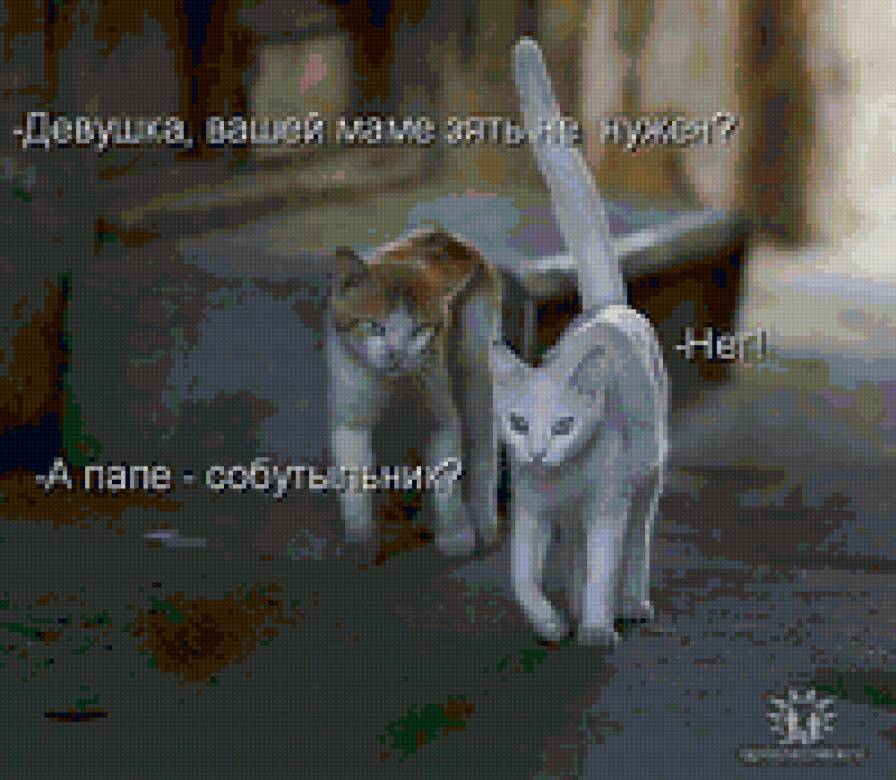 8989 - животные, котята, кошки, природа - предпросмотр