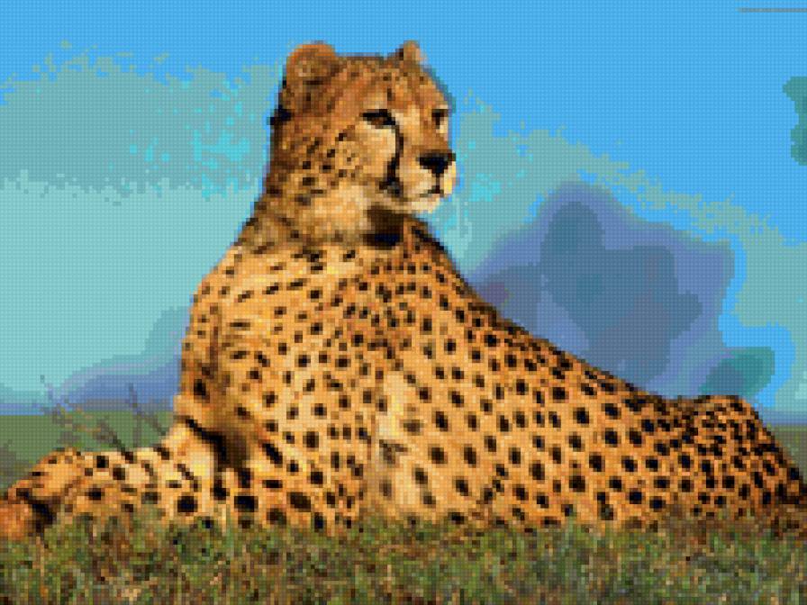 леопард - кошка - предпросмотр