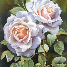 Оригинал схемы вышивки «белые розы» (№37578)