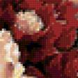 Предпросмотр схемы вышивки «цветы и колибри» (№37584)