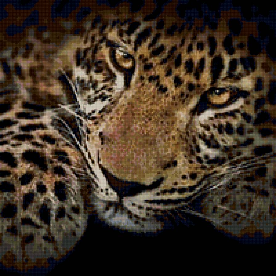 leopard - leopard - предпросмотр