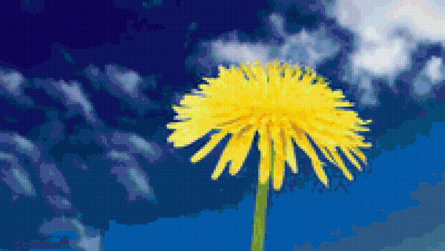 одуванчик - цветы, лето, небо - предпросмотр