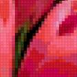 Предпросмотр схемы вышивки «тюльпаны» (№37985)