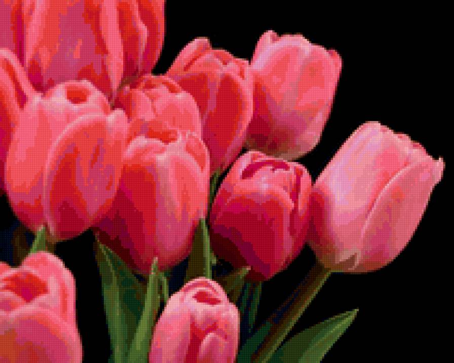 тюльпаны - цветы - предпросмотр