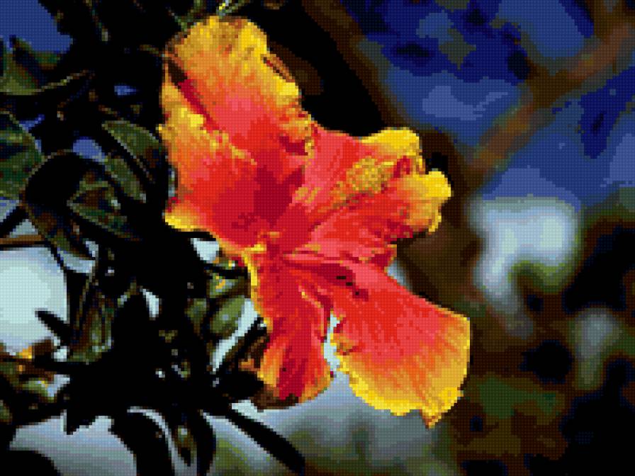 №38020 - цветы - предпросмотр