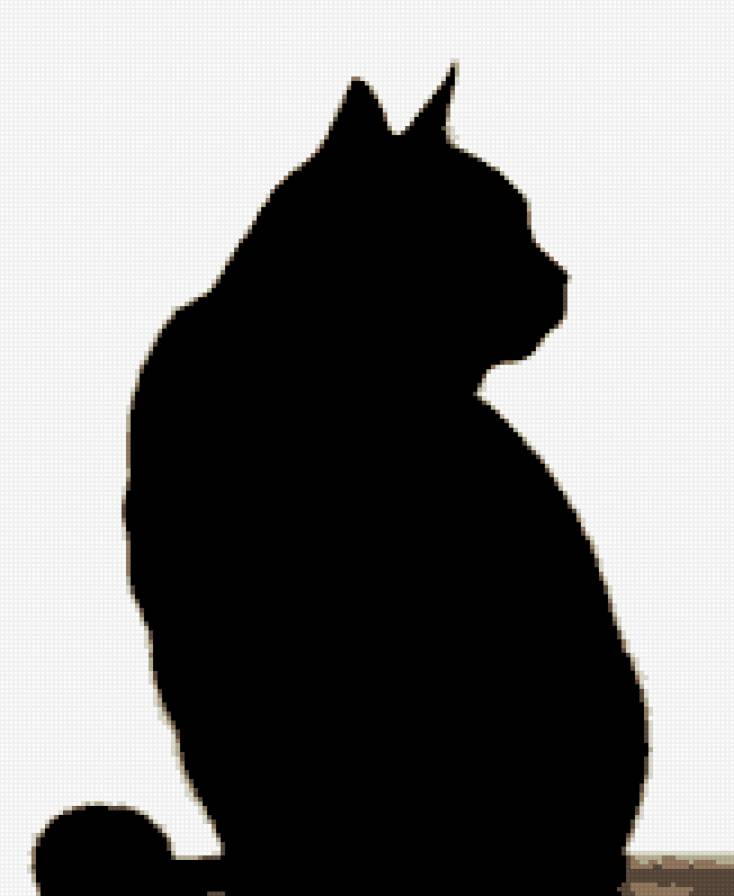 кот - кот - предпросмотр